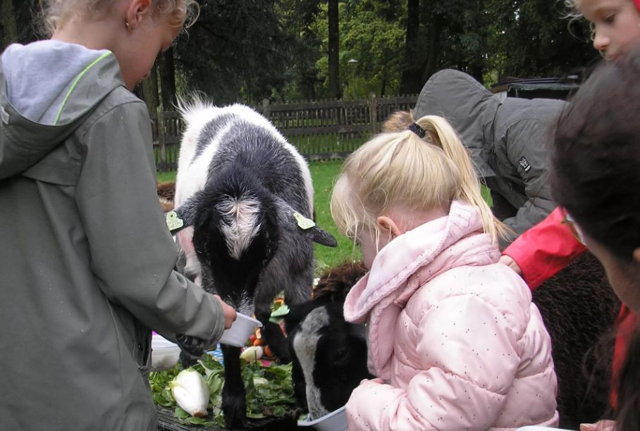 Dierenweide Kukele-Boe